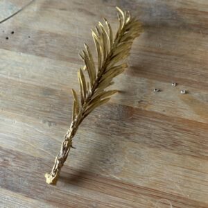 leaf_brass_brooch